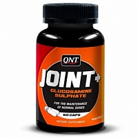 QNT Joint + Support 60 caps
